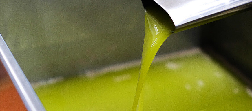 Olive pressing outcome: fresh olive oil being poured into a large container.